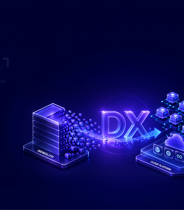 DX / Overview Image
